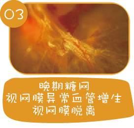202405270953028465.Png